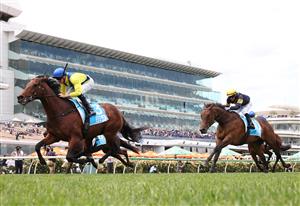 MELBOURNE, AUSTRALIA - NOVEMBER 06: Michael Dee rides #3 Apulia to win race five the Channel 9 Chester Manifold Stakes during Oaks Day at Flemington Racecourse on November 06, 2025 in Melbourne, Australia. (Photo by Robert Cianflone/Getty Images)
