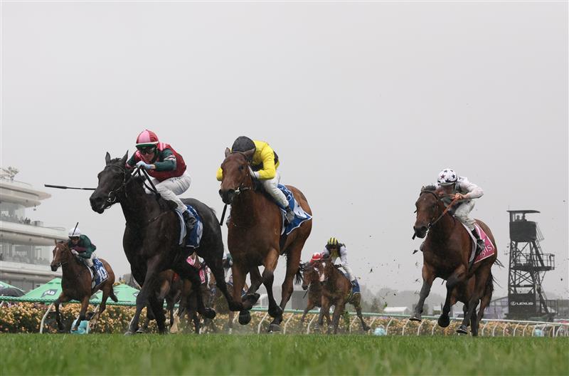 MELBOURNE, AUSTRALIA - NOVEMBER 08: Ethan Brown riding #9 Calamari Ring defeats Ben Melham riding Streisand to win race one the Inglis Bannerduring Champions Day at Flemington Racecourse on November 08, 2025 in Melbourne, Australia. (Photo by Robert Cianflone/Getty Images)