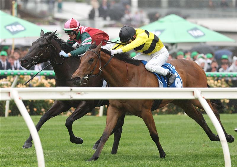 MELBOURNE, AUSTRALIA - NOVEMBER 08: Ethan Brown riding #9 Calamari Ring defeats Ben Melham riding Streisand to win race one the Inglis Bannerduring Champions Day at Flemington Racecourse on November 08, 2025 in Melbourne, Australia. (Photo by Robert Cianflone/Getty Images)