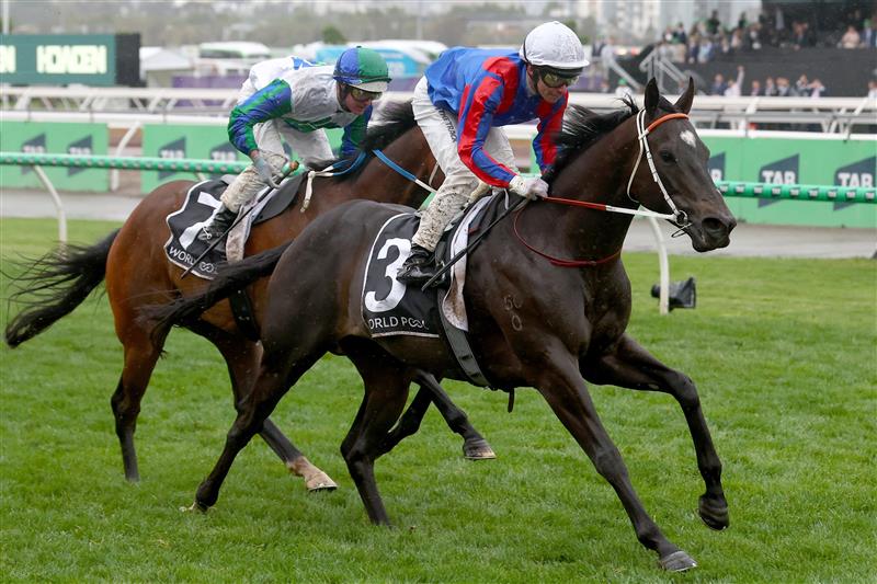 MELBOURNE, AUSTRALIA - NOVEMBER 08: Ben Melham riding Grand Larceny wins Race 9, the HKJC World Pool Grand Handicap during Champions Day at Flemington Racecourse on November 08, 2025 in Melbourne, Australia. (Photo by Josh Chadwick/Getty Images)