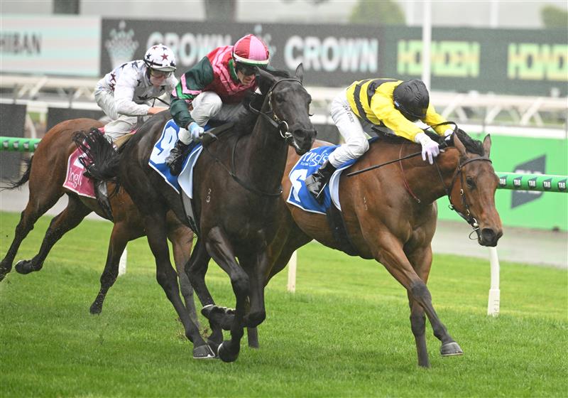 MELBOURNE, AUSTRALIA - NOVEMBER 08: Ethan Brown riding Calamari Ring defeats Ben Melham riding Streisand in Race 1, the Inglis Banner during Champions Day at Flemington Racecourse on November 08, 2025 in Melbourne, Australia. (Photo by Vince Caligiuri/Getty Images)