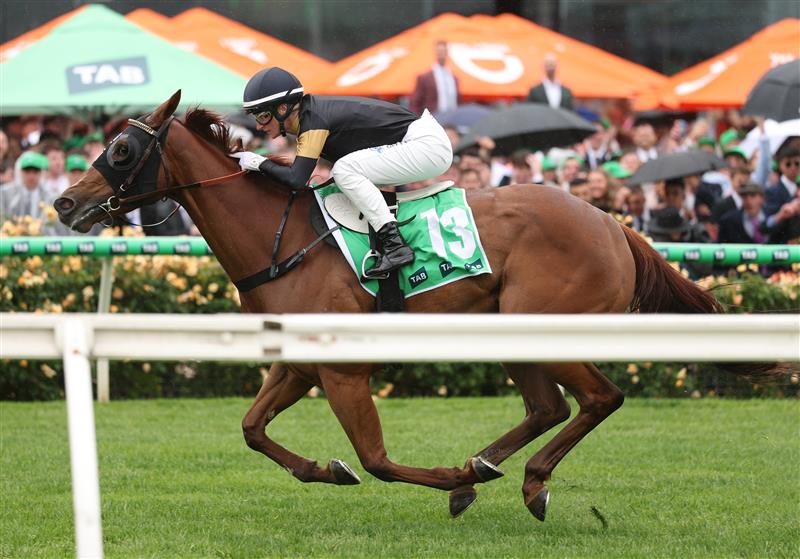 MELBOURNE, AUSTRALIA - NOVEMBER 08: Jamie Melham rides #13 Sunset Park to win race four the Tab Matriarch Stakes during Champions Day at Flemington Racecourse on November 08, 2025 in Melbourne, Australia. (Photo by Robert Cianflone/Getty Images)