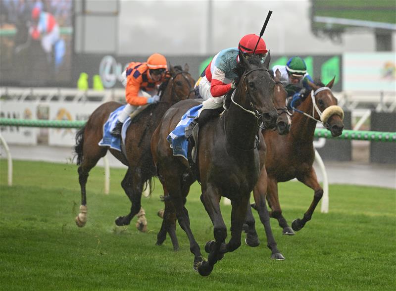 MELBOURNE, AUSTRALIA - NOVEMBER 08: Mark Zahra riding Sabaj winning Race 2, the Ronald Mcdonald House Charities Mile  during Champions Day at Flemington Racecourse on November 08, 2025 in Melbourne, Australia. (Photo by Vince Caligiuri/Getty Images)