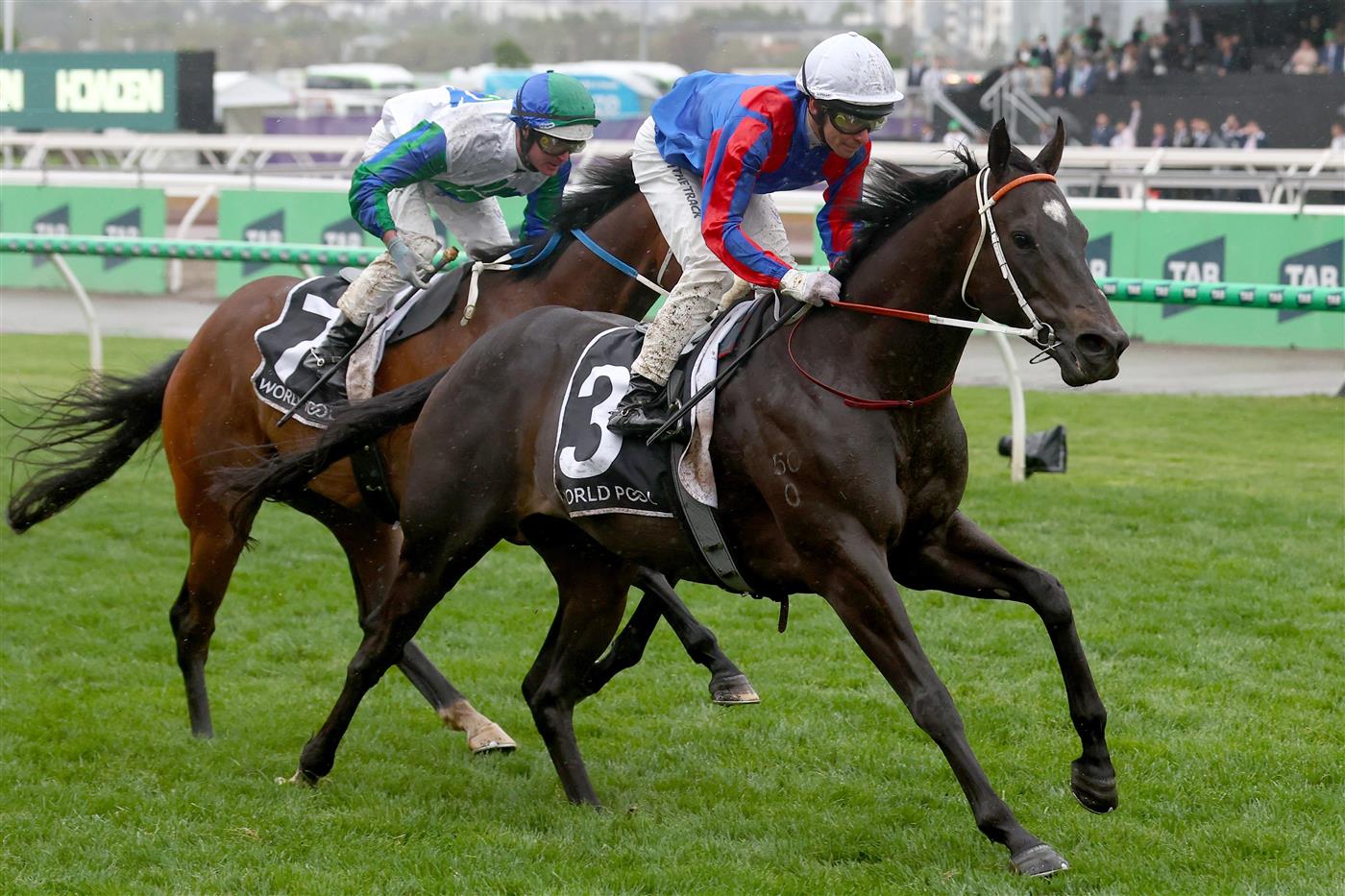 MELBOURNE, AUSTRALIA - NOVEMBER 08: Ben Melham riding Grand Larceny wins Race 9, the HKJC World Pool Grand Handicap during Champions Day at Flemington Racecourse on November 08, 2025 in Melbourne, Australia. (Photo by Josh Chadwick/Getty Images)