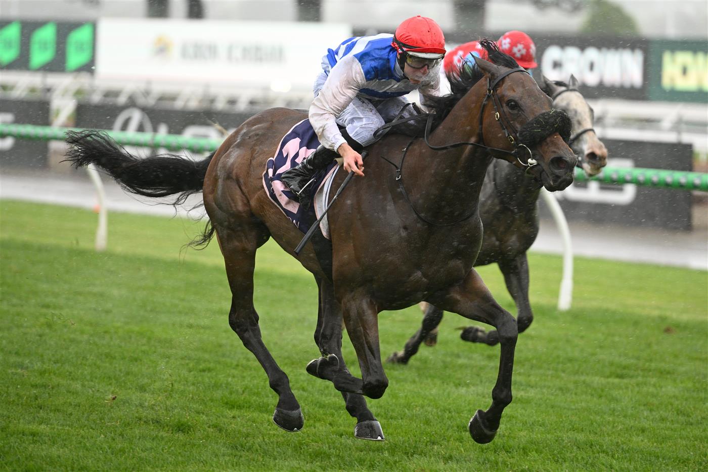 MELBOURNE, AUSTRALIA - NOVEMBER 08: Damian Lane riding Whisky on The Hill winning Race 5, the Queen Elizabeth Stakes  during Champions Day at Flemington Racecourse on November 08, 2025 in Melbourne, Australia. (Photo by Vince Caligiuri/Getty Images)