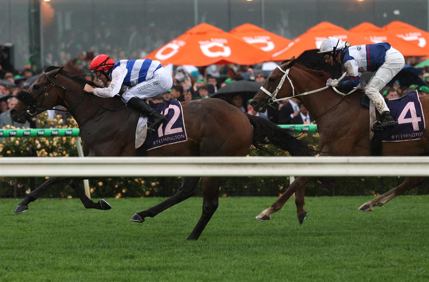 MELBOURNE, AUSTRALIA - NOVEMBER 08: Damian Lane rides #12 Whisky on The Hill to win race five the Queen Elizabeth Stakes during Champions Day at Flemington Racecourse on November 08, 2025 in Melbourne, Australia. (Photo by Robert Cianflone/Getty Images)