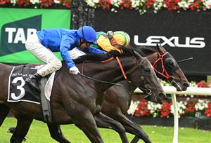 MELBOURNE, AUSTRALIA - NOVEMBER 08: Chad Schofield riding Ceolwulf defeats Ben Melham riding Pericles in Race 7, the Lexus Champions Mile during Champions Day at Flemington Racecourse on November 08, 2025 in Melbourne, Australia. (Photo by Vince Caligiuri/Getty Images)