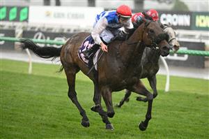 MELBOURNE, AUSTRALIA - NOVEMBER 08: Damian Lane riding Whisky on The Hill winning Race 5, the Queen Elizabeth Stakes  during Champions Day at Flemington Racecourse on November 08, 2025 in Melbourne, Australia. (Photo by Vince Caligiuri/Getty Images)