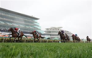 MELBOURNE, AUSTRALIA - NOVEMBER 08: Jamie Melham rides #6 Need Some Luck to win race three the Fisher Stakes during Champions Day at Flemington Racecourse on November 08, 2025 in Melbourne, Australia. (Photo by Robert Cianflone/Getty Images)