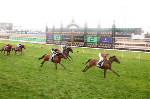 MELBOURNE, AUSTRALIA - NOVEMBER 08: Jamie Melham rides #6 Need Some Luck to win race three the Fisher Stakes during Champions Day at Flemington Racecourse on November 08, 2025 in Melbourne, Australia. (Photo by Robert Cianflone/Getty Images)
