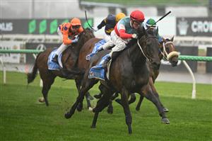 MELBOURNE, AUSTRALIA - NOVEMBER 08: Mark Zahra riding Sabaj winning Race 2, the Ronald Mcdonald House Charities Mile  during Champions Day at Flemington Racecourse on November 08, 2025 in Melbourne, Australia. (Photo by Vince Caligiuri/Getty Images)