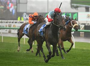 MELBOURNE, AUSTRALIA - NOVEMBER 08: Mark Zahra riding Sabaj winning Race 2, the Ronald Mcdonald House Charities Mile  during Champions Day at Flemington Racecourse on November 08, 2025 in Melbourne, Australia. (Photo by Vince Caligiuri/Getty Images)