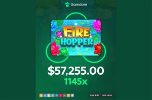 Fire Hopper Heater at Gamdom