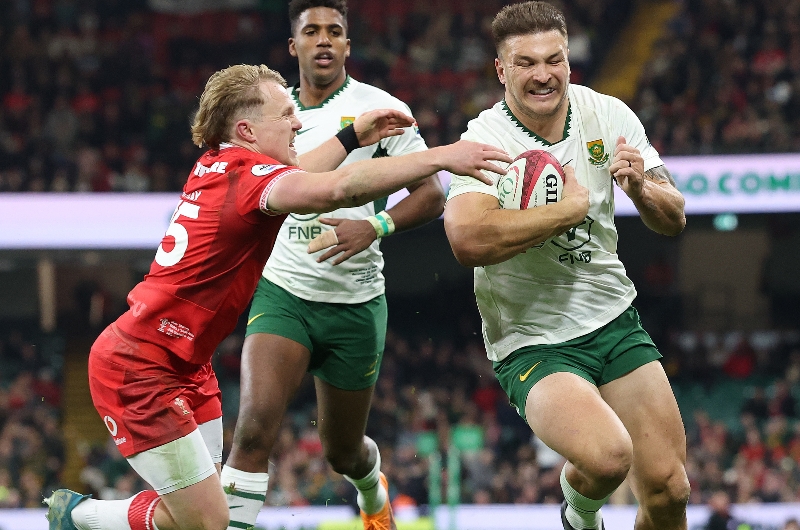 Springbok rugby