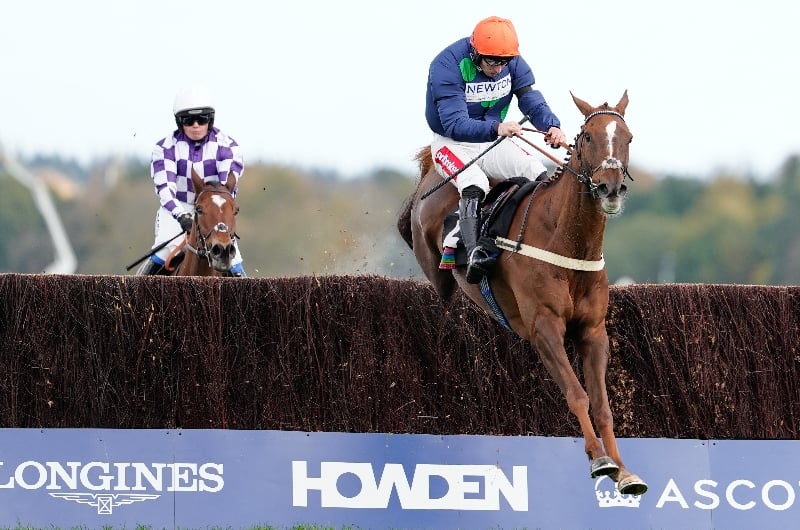 no questions asked ascot