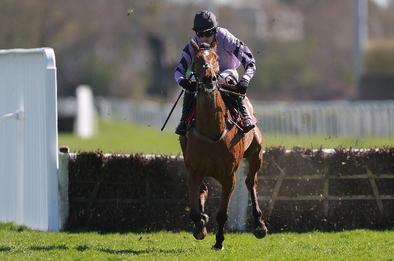 go west hurdle go west hurdle