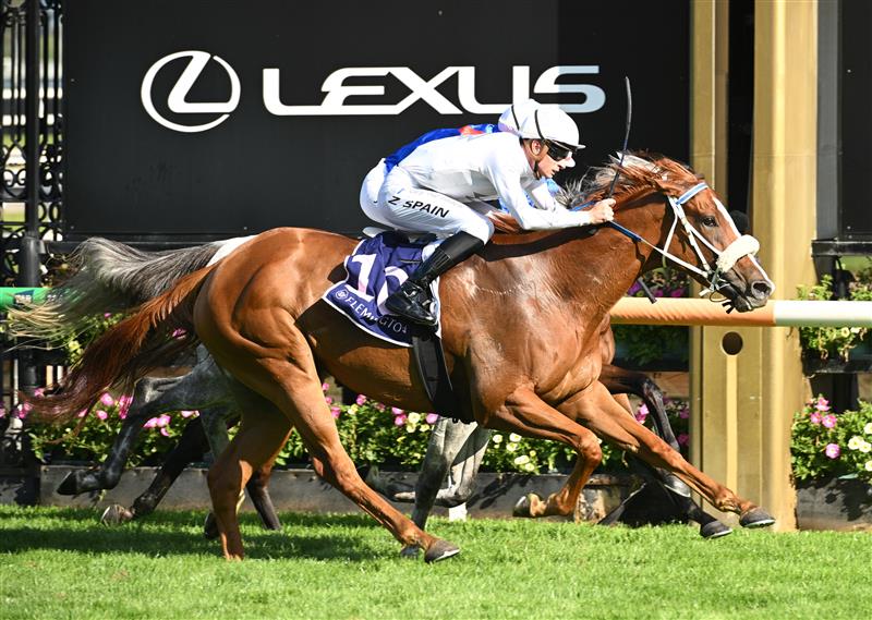 MELBOURNE, AUSTRALIA - FEBRUARY 14: Zac Spain riding Paradise City winning Race 10 , the Frances Tressady Stakes during Melbourne Racing at Flemington Racecourse on February 14, 2026 in Melbourne, Australia. (Photo by Vince Caligiuri/Getty Images)