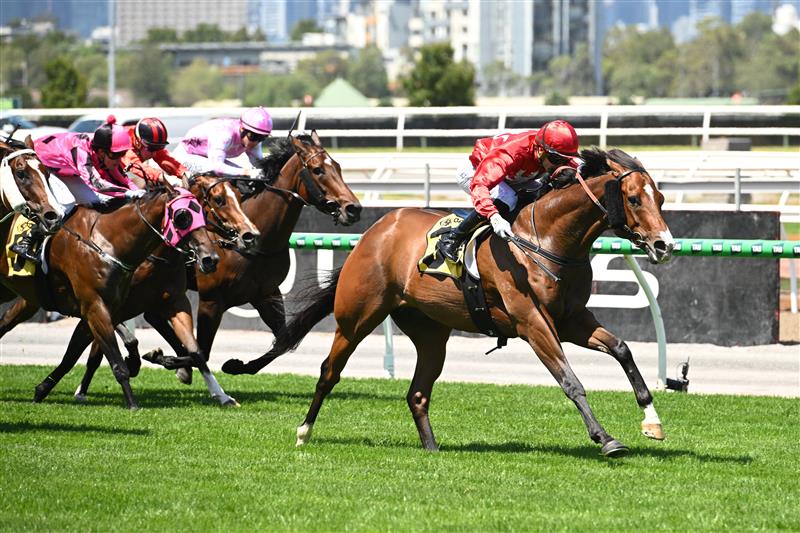 MELBOURNE, AUSTRALIA - FEBRUARY 14: Luke Cartwright riding Perilous Fighter winning Race 4, the Vobis Gold Prelude Qc during Melbourne Racing at Flemington Racecourse on February 14, 2026 in Melbourne, Australia. (Photo by Vince Caligiuri/Getty Images)