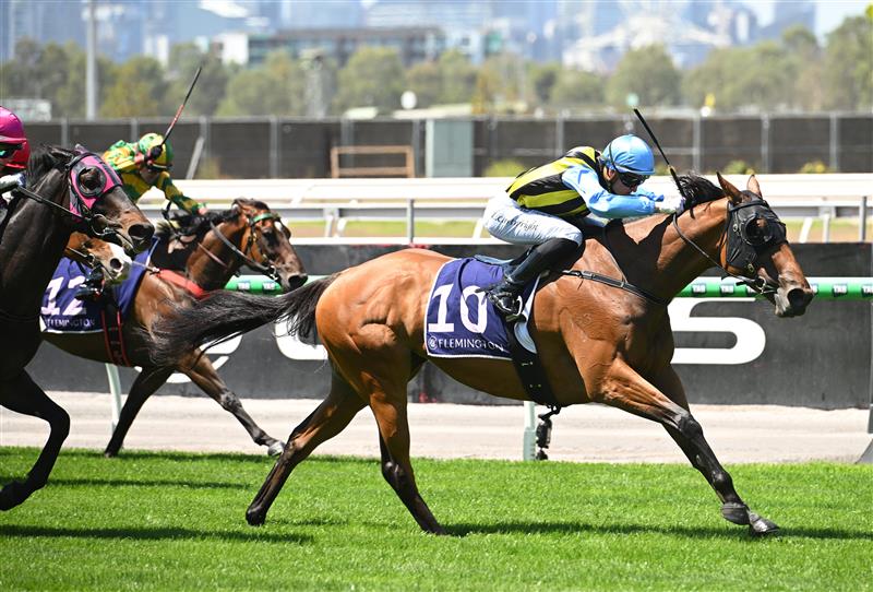 MELBOURNE, AUSTRALIA - FEBRUARY 14: Luke Cartwright riding Tarvue winning Race 2, the Tab We