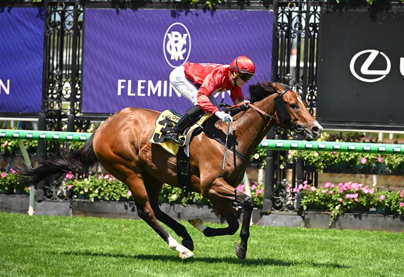 MELBOURNE, AUSTRALIA - FEBRUARY 14: Luke Cartwright riding Perilous Fighter winning Race 4, the Vobis Gold Prelude Qc during Melbourne Racing at Flemington Racecourse on February 14, 2026 in Melbourne, Australia. (Photo by Vince Caligiuri/Getty Images)