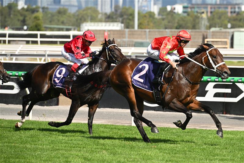 MELBOURNE, AUSTRALIA - FEBRUARY 14: Damian Lane riding Sixties winning Race 9, the Cs Hayes Stakes during Melbourne Racing at Flemington Racecourse on February 14, 2026 in Melbourne, Australia. (Photo by Vince Caligiuri/Getty Images)