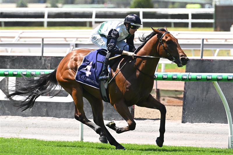 MELBOURNE, AUSTRALIA - FEBRUARY 14: Damian Lane riding Hard Kick winning Race 1, theTab Talindert Stakes during Melbourne Racing at Flemington Racecourse on February 14, 2026 in Melbourne, Australia. (Photo by Vince Caligiuri/Getty Images)