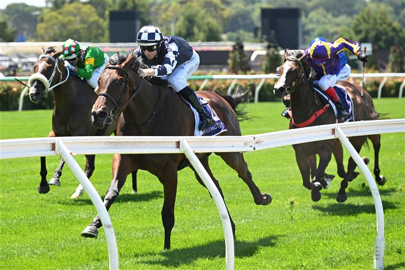 MELBOURNE, AUSTRALIA - FEBRUARY 14: Damian Lane riding Sass Appeal winning Race 3, the Desirable Stakes during Melbourne Racing at Flemington Racecourse on February 14, 2026 in Melbourne, Australia. (Photo by Vince Caligiuri/Getty Images)