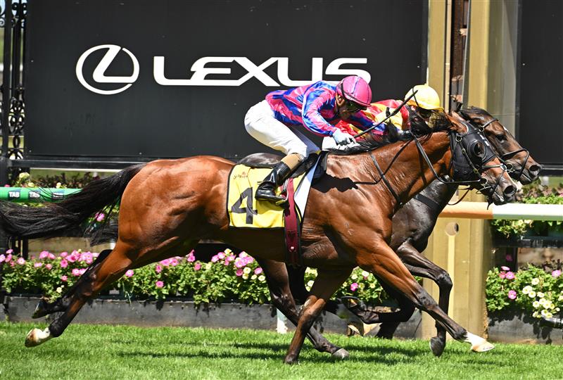 MELBOURNE, AUSTRALIA - FEBRUARY 14: Luke Currie riding Ndola defeats Jamie Melham riding Rue De Royale in Race 5, the The Schweppes Plate during Melbourne Racing at Flemington Racecourse on February 14, 2026 in Melbourne, Australia. (Photo by Vince Caligiuri/Getty Images)