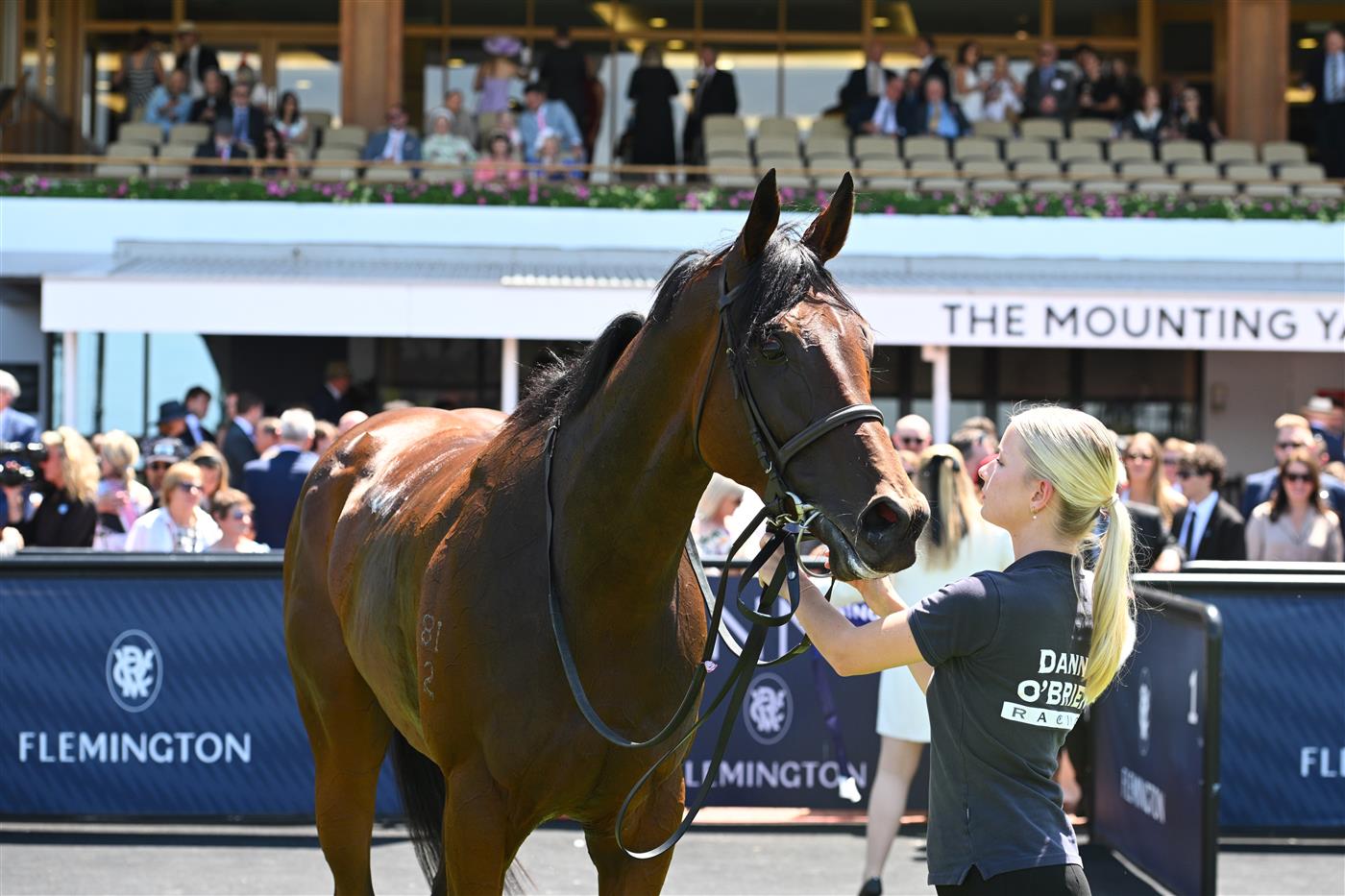 MELBOURNE, AUSTRALIA - FEBRUARY 14: Sass Appeal after winning Race 3, the Desirable Stakes during Melbourne Racing at Flemington Racecourse on February 14, 2026 in Melbourne, Australia. (Photo by Vince Caligiuri/Getty Images)