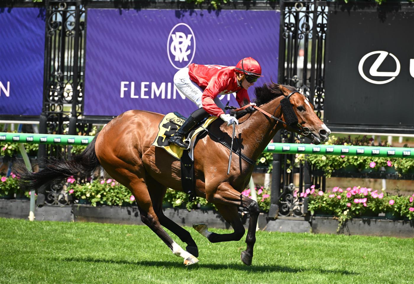 MELBOURNE, AUSTRALIA - FEBRUARY 14: Luke Cartwright riding Perilous Fighter winning Race 4, the Vobis Gold Prelude Qc during Melbourne Racing at Flemington Racecourse on February 14, 2026 in Melbourne, Australia. (Photo by Vince Caligiuri/Getty Images)