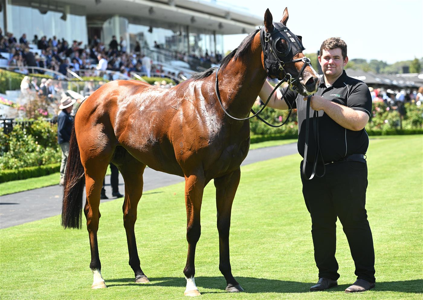 MELBOURNE, AUSTRALIA - FEBRUARY 14: Ndola after winning Race 5, the The Schweppes Plate during Melbourne Racing at Flemington Racecourse on February 14, 2026 in Melbourne, Australia. (Photo by Vince Caligiuri/Getty Images)