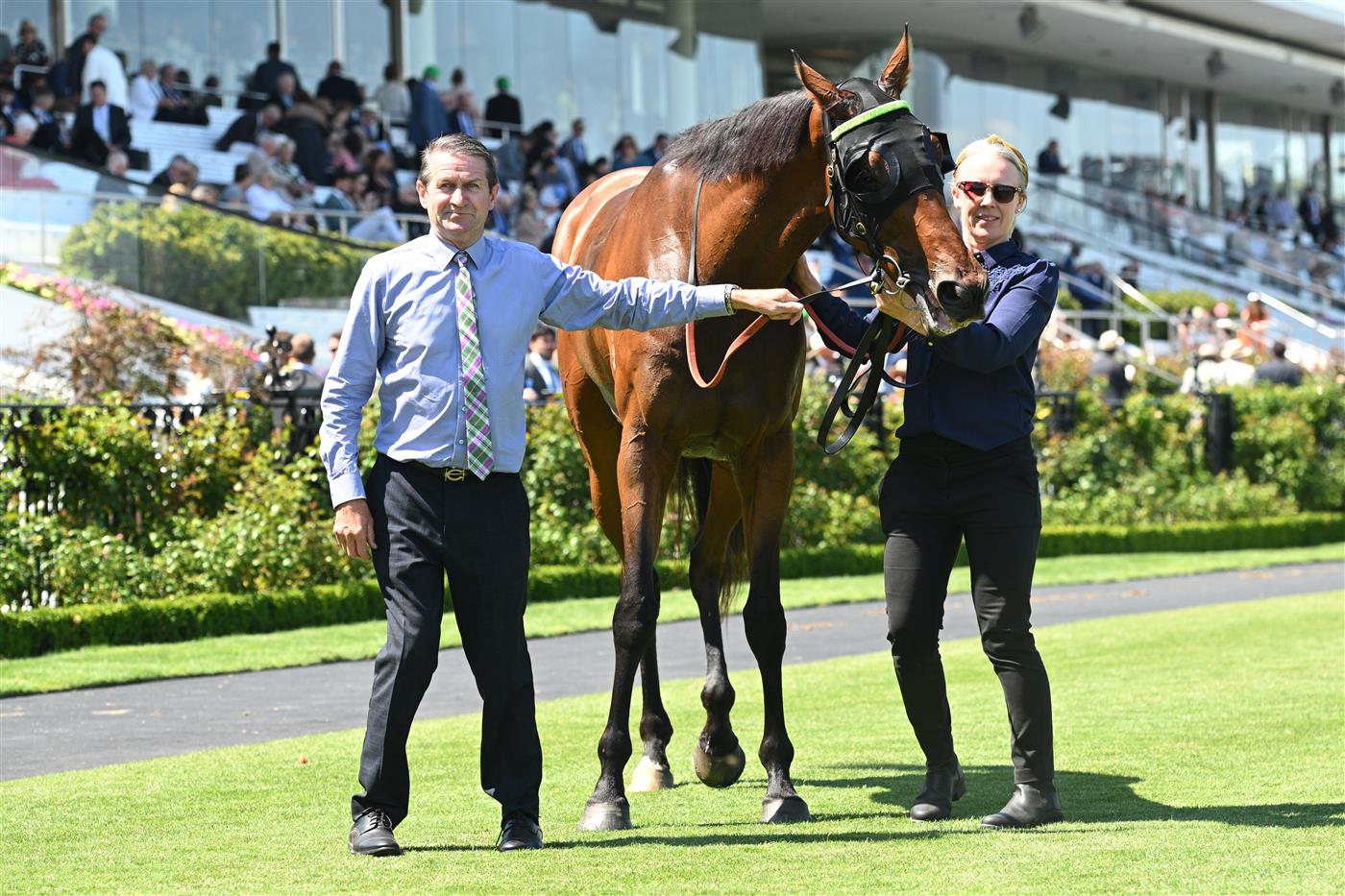 MELBOURNE, AUSTRALIA - FEBRUARY 14: Trainer Dan O
