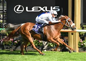 MELBOURNE, AUSTRALIA - FEBRUARY 14: Zac Spain riding Paradise City winning Race 10 , the Frances Tressady Stakes during Melbourne Racing at Flemington Racecourse on February 14, 2026 in Melbourne, Australia. (Photo by Vince Caligiuri/Getty Images)