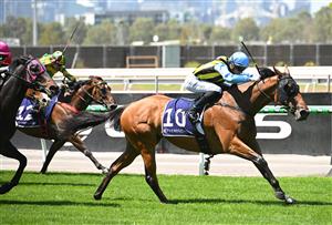 MELBOURNE, AUSTRALIA - FEBRUARY 14: Luke Cartwright riding Tarvue winning Race 2, the Tab We