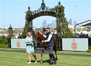MELBOURNE, AUSTRALIA - FEBRUARY 14: Tentyris after winning Race 8, the Black Caviar Lightning  during Melbourne Racing at Flemington Racecourse on February 14, 2026 in Melbourne, Australia. (Photo by Vince Caligiuri/Getty Images)