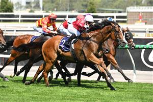 MELBOURNE, AUSTRALIA - FEBRUARY 14: Celine Gaudray riding Cafe Millenium winning Race 7, the The Elms Handicap during Melbourne Racing at Flemington Racecourse on February 14, 2026 in Melbourne, Australia. (Photo by Vince Caligiuri/Getty Images)