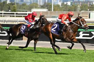 MELBOURNE, AUSTRALIA - FEBRUARY 14: Damian Lane riding Sixties winning Race 9, the Cs Hayes Stakes during Melbourne Racing at Flemington Racecourse on February 14, 2026 in Melbourne, Australia. (Photo by Vince Caligiuri/Getty Images)