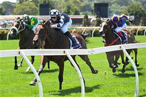 MELBOURNE, AUSTRALIA - FEBRUARY 14: Damian Lane riding Sass Appeal winning Race 3, the Desirable Stakes during Melbourne Racing at Flemington Racecourse on February 14, 2026 in Melbourne, Australia. (Photo by Vince Caligiuri/Getty Images)