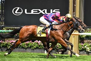 MELBOURNE, AUSTRALIA - FEBRUARY 14: Luke Currie riding Ndola defeats Jamie Melham riding Rue De Royale in Race 5, the The Schweppes Plate during Melbourne Racing at Flemington Racecourse on February 14, 2026 in Melbourne, Australia. (Photo by Vince Caligiuri/Getty Images)