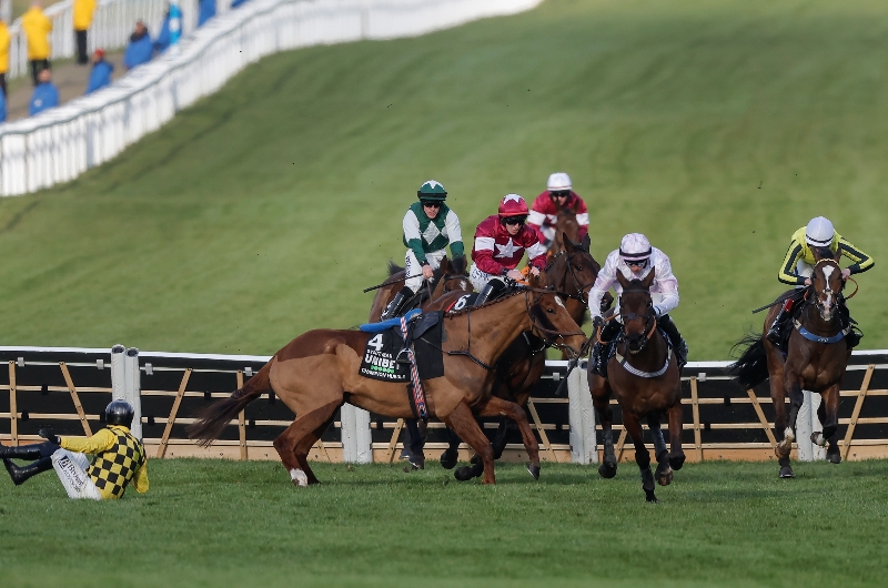 champion hurdle cheltenham festival