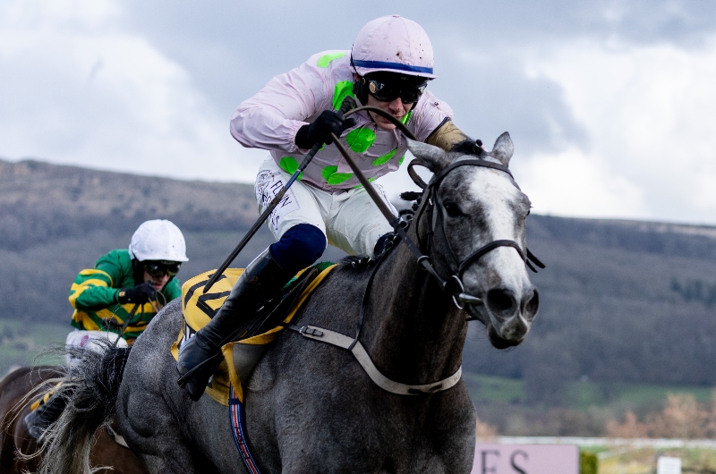 lossiemouth triumph hurdle