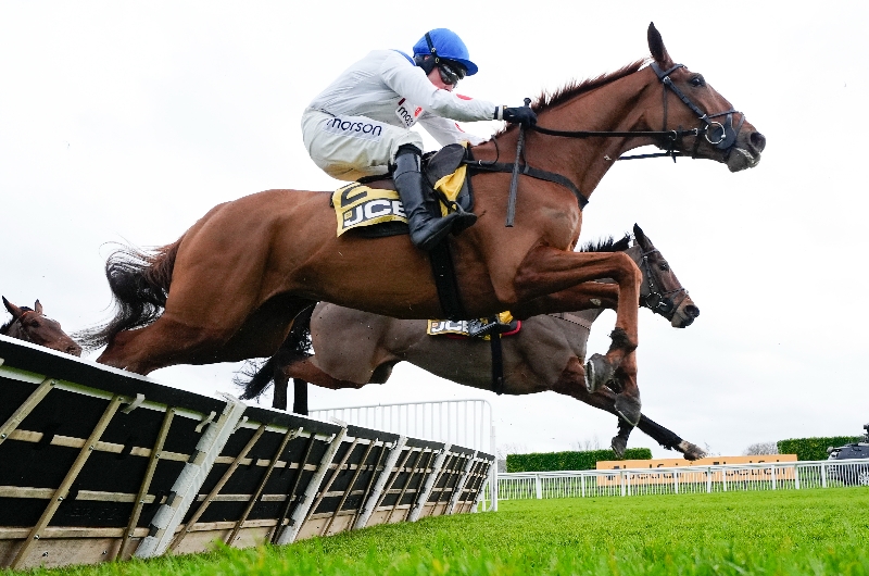 maestro conti cheltenham