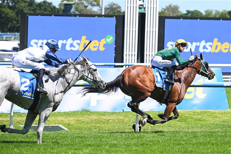 MELBOURNE, AUSTRALIA - FEBRUARY 21: Zac Spain riding Sheza Alibi winning Race 5, the Sportsbet Angus Armanasco Stakes during Melbourne Racing at Caulfield Racecourse on February 21, 2026 in Melbourne, Australia. (Photo by Vince Caligiuri/Getty Images)