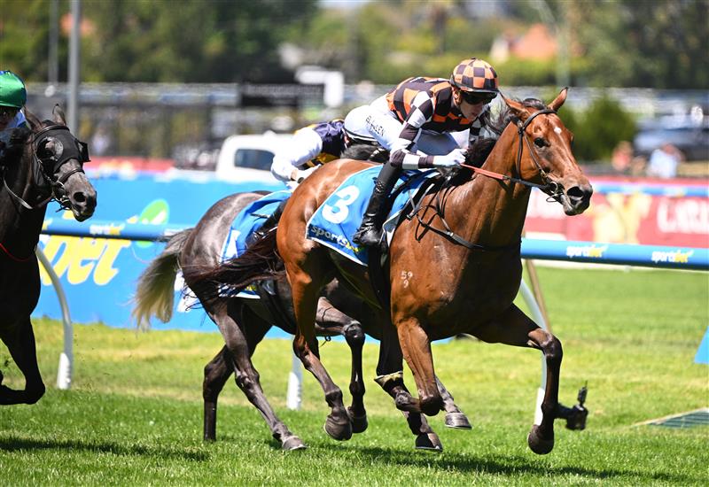 MELBOURNE, AUSTRALIA - FEBRUARY 21: Ben Allen riding Magnaspin winning Race 3, the Sportsbet Victoria Gold Cup during Melbourne Racing at Caulfield Racecourse on February 21, 2026 in Melbourne, Australia. (Photo by Vince Caligiuri/Getty Images)