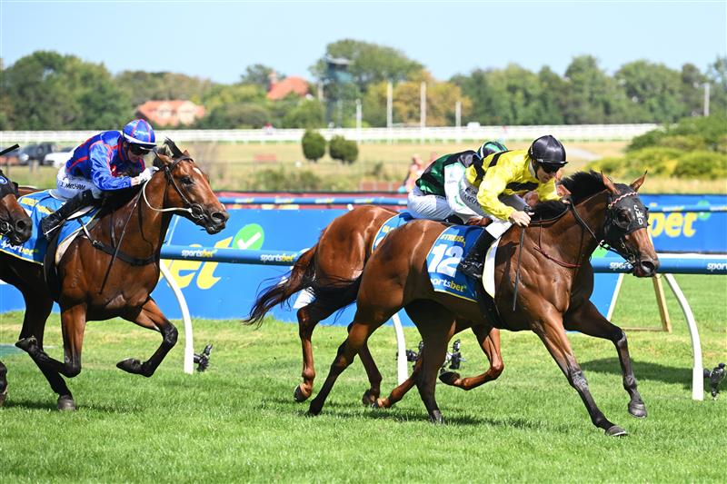 MELBOURNE, AUSTRALIA - FEBRUARY 21: Ben Melham riding Streisand defeats Closer To Free and Guest House in Race 8, the Sportsbet Blue Diamond Stakes during Melbourne Racing at Caulfield Racecourse on February 21, 2026 in Melbourne, Australia. (Photo by Vince Caligiuri/Getty Images)