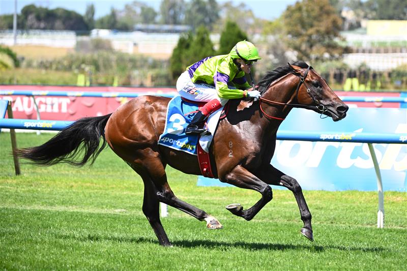 MELBOURNE, AUSTRALIA - FEBRUARY 21: Craig Williams riding Pallaton winning Race 2, the Sportsbet Zeditave Stakes during Melbourne Racing at Caulfield Racecourse on February 21, 2026 in Melbourne, Australia. (Photo by Vince Caligiuri/Getty Images)