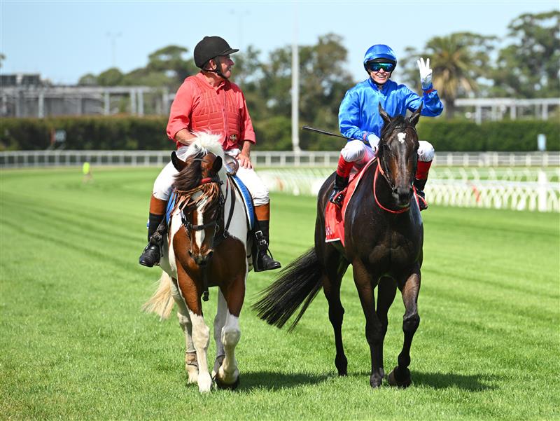 MELBOURNE, AUSTRALIA - FEBRUARY 21: Craig Williams riding Pericles after winning in Race 7, the Henley Homes Futurity Stakes during Melbourne Racing at Caulfield Racecourse on February 21, 2026 in Melbourne, Australia. (Photo by Vince Caligiuri/Getty Images)
