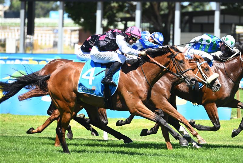 MELBOURNE, AUSTRALIA - FEBRUARY 21: Damian Lane riding Single Choice winning Race 4, the Stow Storage Autumn Classic during Melbourne Racing at Caulfield Racecourse on February 21, 2026 in Melbourne, Australia. (Photo by Vince Caligiuri/Getty Images)