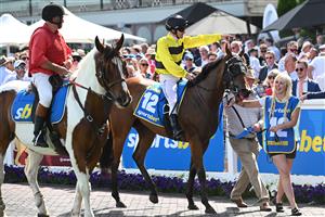MELBOURNE, AUSTRALIA - FEBRUARY 21: Ben Melham riding Streisand after winning in Race 8, the Sportsbet Blue Diamond Stakes during Melbourne Racing at Caulfield Racecourse on February 21, 2026 in Melbourne, Australia. (Photo by Vince Caligiuri/Getty Images)