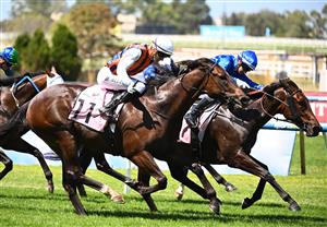 MELBOURNE, AUSTRALIA - FEBRUARY 21: Ben Allen riding Verdoux defeats Expulsion in Race 1, the Whispering Angel Handicap during Melbourne Racing at Caulfield Racecourse on February 21, 2026 in Melbourne, Australia. (Photo by Vince Caligiuri/Getty Images)
